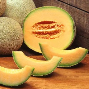 Melon Cantaloup Charentais